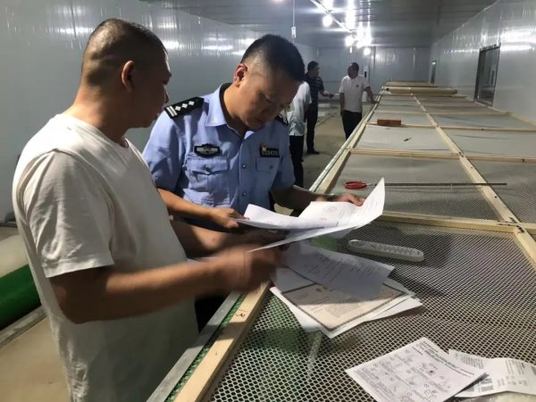 凤凰策略 四川广汉八旬老人被毒蛇咬伤后续：五步蛇血清有效，但“真凶”或是原矛头蝮