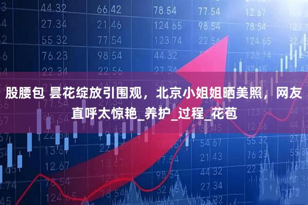 股腰包 昙花绽放引围观，北京小姐姐晒美照，网友直呼太惊艳_养护_过程_花苞