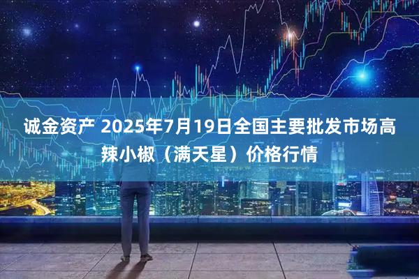 诚金资产 2025年7月19日全国主要批发市场高辣小椒（满天星）价格行情