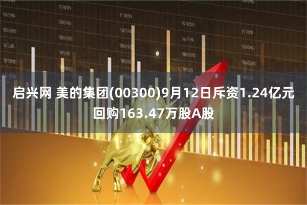 启兴网 美的集团(00300)9月12日斥资1.24亿元回购163.47万股A股