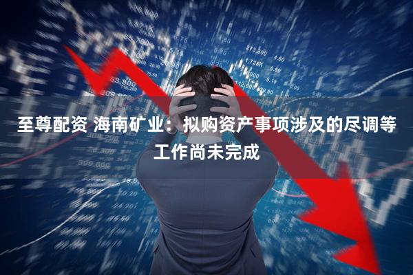 至尊配资 海南矿业：拟购资产事项涉及的尽调等工作尚未完成