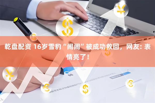 乾盘配资 16岁雪豹“闹闹”被成功救回，网友: 表情亮了！