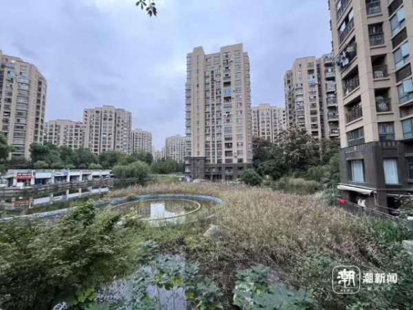 永隆配资 杭州一小区物业退出不干了，称业主拖欠物业费1200多万元
